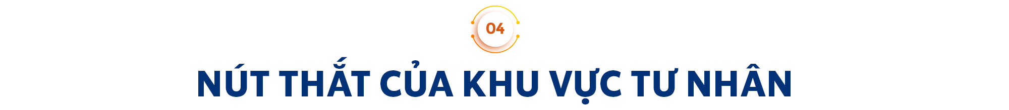 PGS.TS Trần Đình Thiên phân tích lý do nhiều ngân hàng, công ty bất động sản đóng góp ngân sách lớn và điều đáng lo của khu vực tư nhân hiện nay- Ảnh 8.